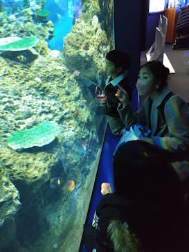 アクアワールド茨城県大洗水族館に投稿された画像（2023/2/23）