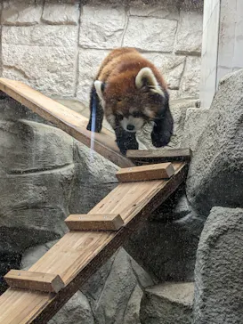 天王寺動物園に投稿された画像（2023/2/23）