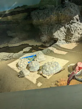 天王寺動物園に投稿された画像（2023/2/23）