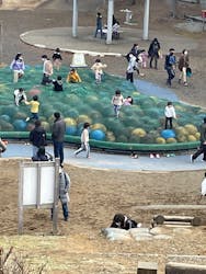 フォレストアドベンチャー・御殿場に投稿された画像（2023/2/23）