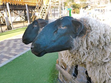 まかいの牧場に投稿された画像（2023/2/23）