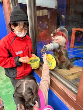 ゼロ距離水族館 伊勢シーパラダイスに投稿された画像（2023/2/23）