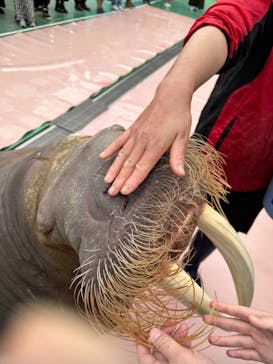 ゼロ距離水族館 伊勢シーパラダイスに投稿された画像（2023/2/23）