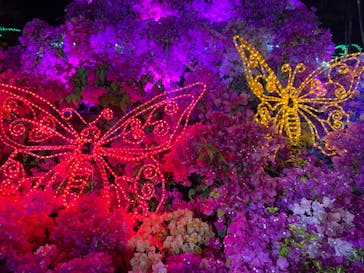 美らヤシパークオキナワ・東南植物楽園に投稿された画像（2023/2/23）