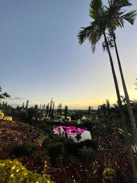 美らヤシパークオキナワ・東南植物楽園に投稿された画像（2023/2/23）