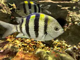 名古屋港水族館に投稿された画像（2023/2/23）