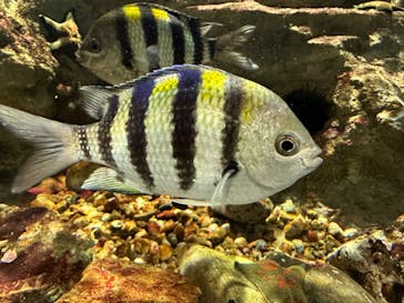 名古屋港水族館に投稿された画像（2023/2/23）