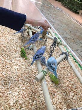 いきもの探検隊上尾に投稿された画像（2023/2/23）