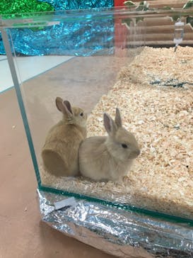 いきもの探検隊上尾に投稿された画像（2023/2/23）