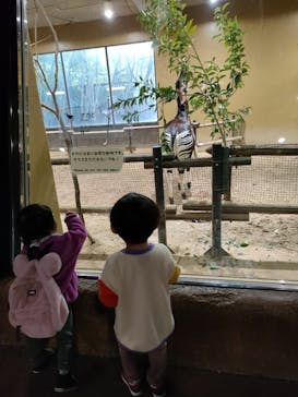 よこはま動物園ズーラシアに投稿された画像（2023/2/23）