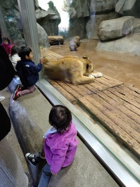 よこはま動物園ズーラシアに投稿された画像（2023/2/23）