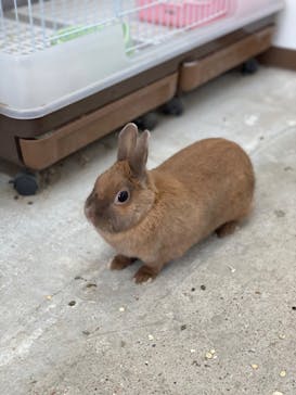 成田ゆめ牧場に投稿された画像（2023/2/23）