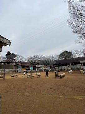 成田ゆめ牧場に投稿された画像（2023/2/23）