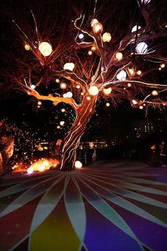 西武園ゆうえんちに投稿された画像（2023/2/23）