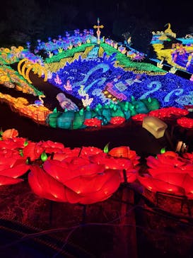 伊豆ぐらんぱる公園に投稿された画像（2023/2/23）