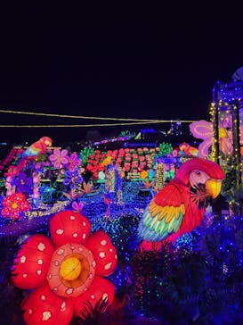 伊豆ぐらんぱる公園に投稿された画像（2023/2/23）