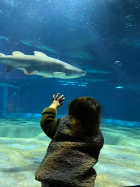 アクアワールド茨城県大洗水族館に投稿された画像（2023/2/23）