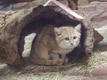 那須どうぶつ王国に投稿された画像（2023/2/23）