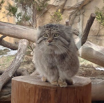 那須どうぶつ王国に投稿された画像（2023/2/23）