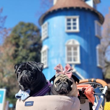 ムーミンバレーパークに投稿された画像（2023/2/23）