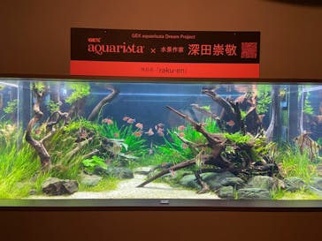 カワスイ 川崎⽔族館に投稿された画像（2023/2/23）