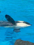 名古屋港水族館に投稿された画像（2023/2/24）