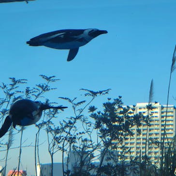 サンシャイン水族館に投稿された画像（2023/2/24）