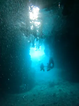 武藤潜水に投稿された画像（2023/2/24）