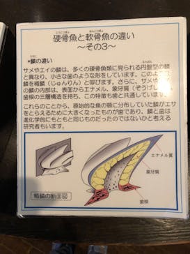 沖縄美ら海水族館に投稿された画像（2023/2/24）