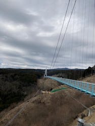フォレストアドベンチャー・三島スカイウォークに投稿された画像（2023/2/24）