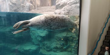 京都水族館に投稿された画像（2023/2/24）