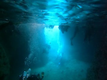 沖縄マリンサービス碧に投稿された画像（2023/2/24）