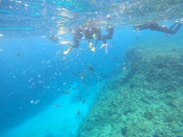 沖縄マリンサービス碧に投稿された画像（2023/2/24）