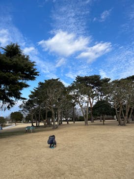 千葉こどもの国 キッズダムに投稿された画像（2023/2/24）