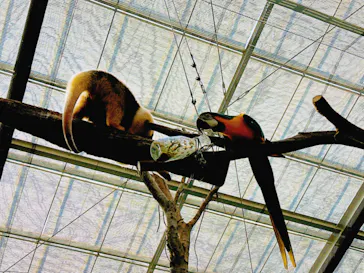 神戸どうぶつ王国に投稿された画像（2023/2/24）