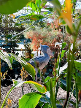 神戸どうぶつ王国に投稿された画像（2023/2/24）