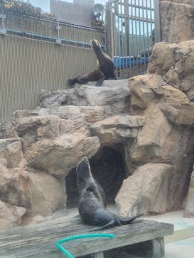 サンシャイン水族館に投稿された画像（2023/2/24）