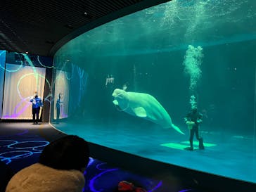 島根県立 しまね海洋館に投稿された画像（2023/2/24）