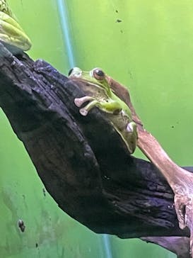 サンシャイン水族館に投稿された画像（2023/2/24）