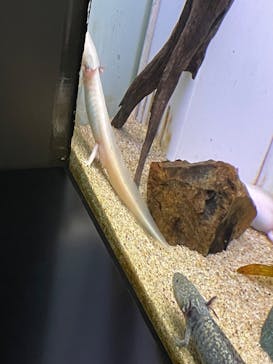 サンシャイン水族館に投稿された画像（2023/2/24）