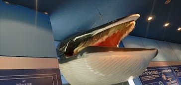 名古屋港水族館に投稿された画像（2023/2/24）