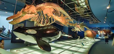 名古屋港水族館に投稿された画像（2023/2/24）