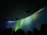 名古屋港水族館に投稿された画像（2023/2/24）