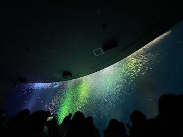 名古屋港水族館に投稿された画像（2023/2/24）