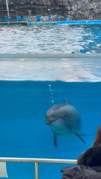 名古屋港水族館に投稿された画像（2023/2/24）