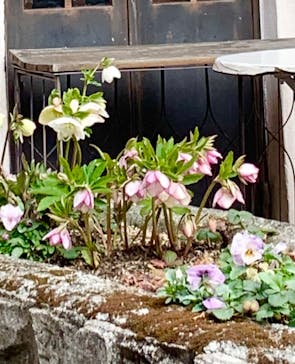 星の王子さまミュージアム 箱根サン=テグジュペリに投稿された画像（2023/2/24）