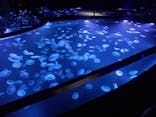 すみだ水族館に投稿された画像（2023/2/24）