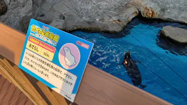 横浜・八景島シーパラダイスに投稿された画像（2023/2/24）