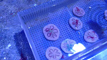 横浜・八景島シーパラダイスに投稿された画像（2023/2/24）