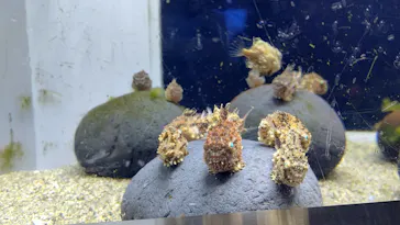 横浜・八景島シーパラダイスに投稿された画像（2023/2/24）